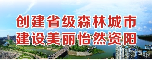 欧美又粗又长大屌操大穴视频在线观看创建省级森林城市 建设美丽怡然资阳