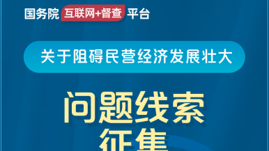 逼逼爱抽插国务院“互联网+督查”平台公开征集阻碍民营经济发展壮大问题线索